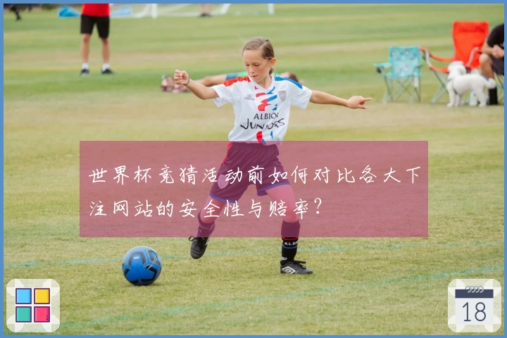 世界杯竞猜活动前如何对比各大下注网站的安全性与赔率？