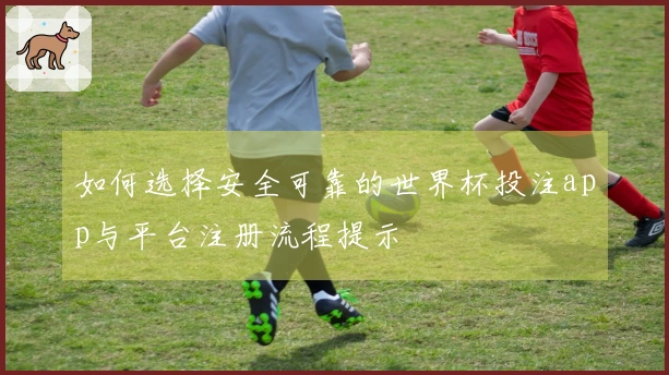 如何选择安全可靠的世界杯投注app与平台注册流程提示