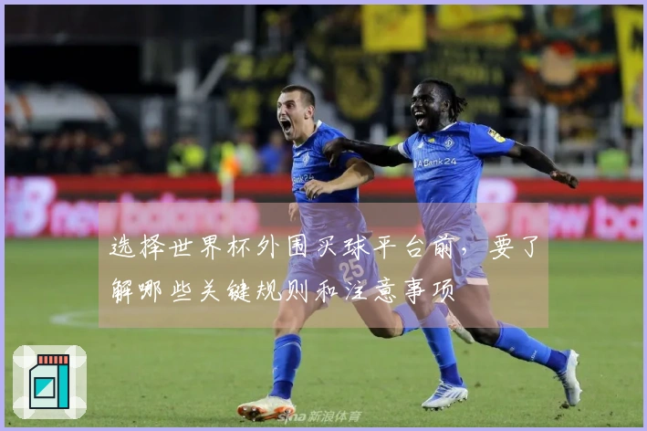 选择世界杯外围买球平台前，要了解哪些关键规则和注意事项