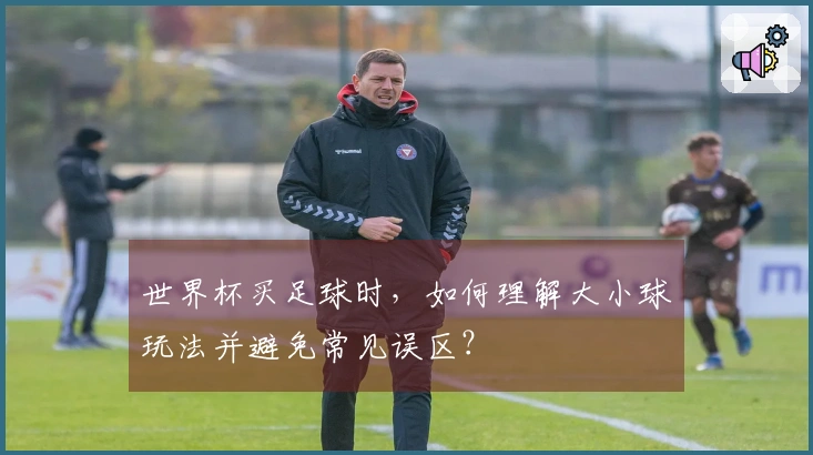 世界杯买足球时,如何理解大小球玩法并避免常见误区?