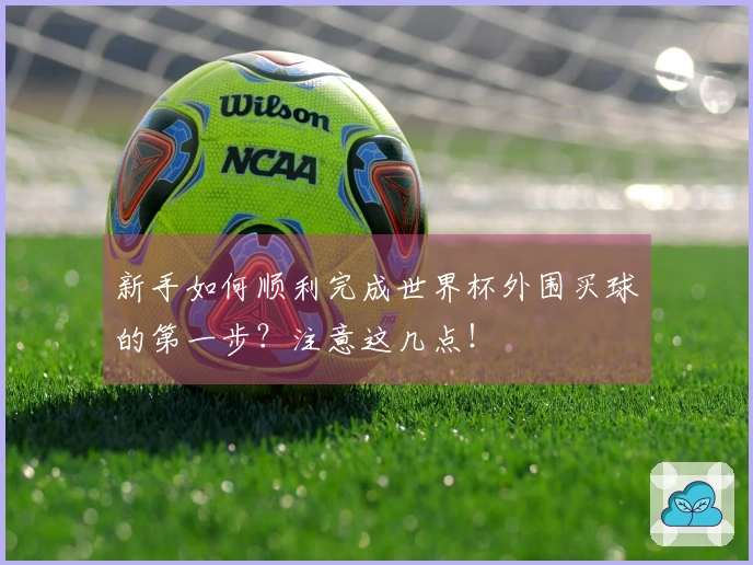 新手如何顺利完成世界杯外围买球的第一步？注意这几点！
